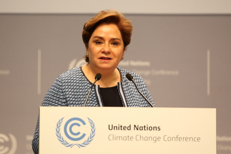 Associate Programme Management Officer Job at UNFCCC