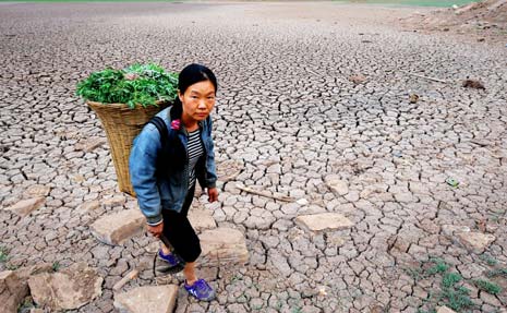 AIMS NEI Fellowship Program for Women in Climate Change Science 2019 (USD $35,000)
