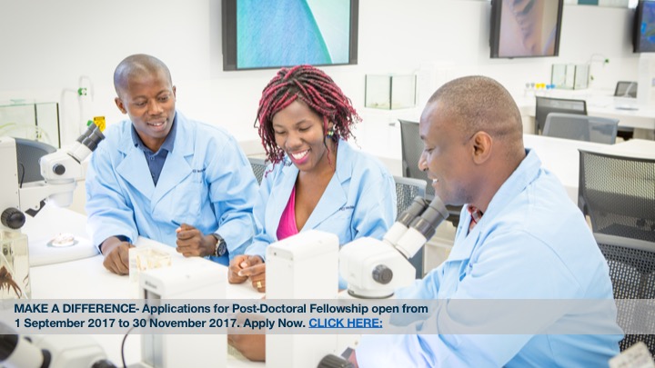 Doctoral fellowships