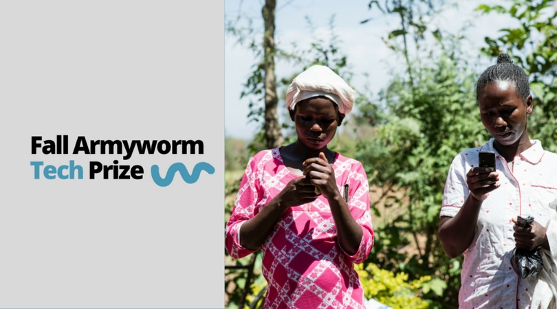 Difference between armyworm and fall armyworm picture