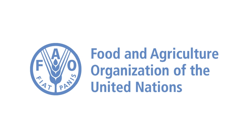 Food And Agriculture Organization Jobs In Nigeria Food And Agriculture Organization Jobs In Nigeria