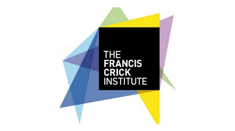 Crick African Network’s African Career Accelerator Awards 2019 for early-career researchers