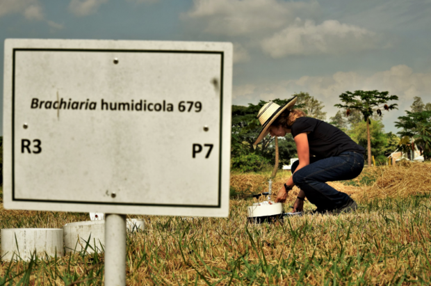 CLIFF-GRADS Scholarships for Short-term Scientific Training and Research (Up to 12,000 USD)
