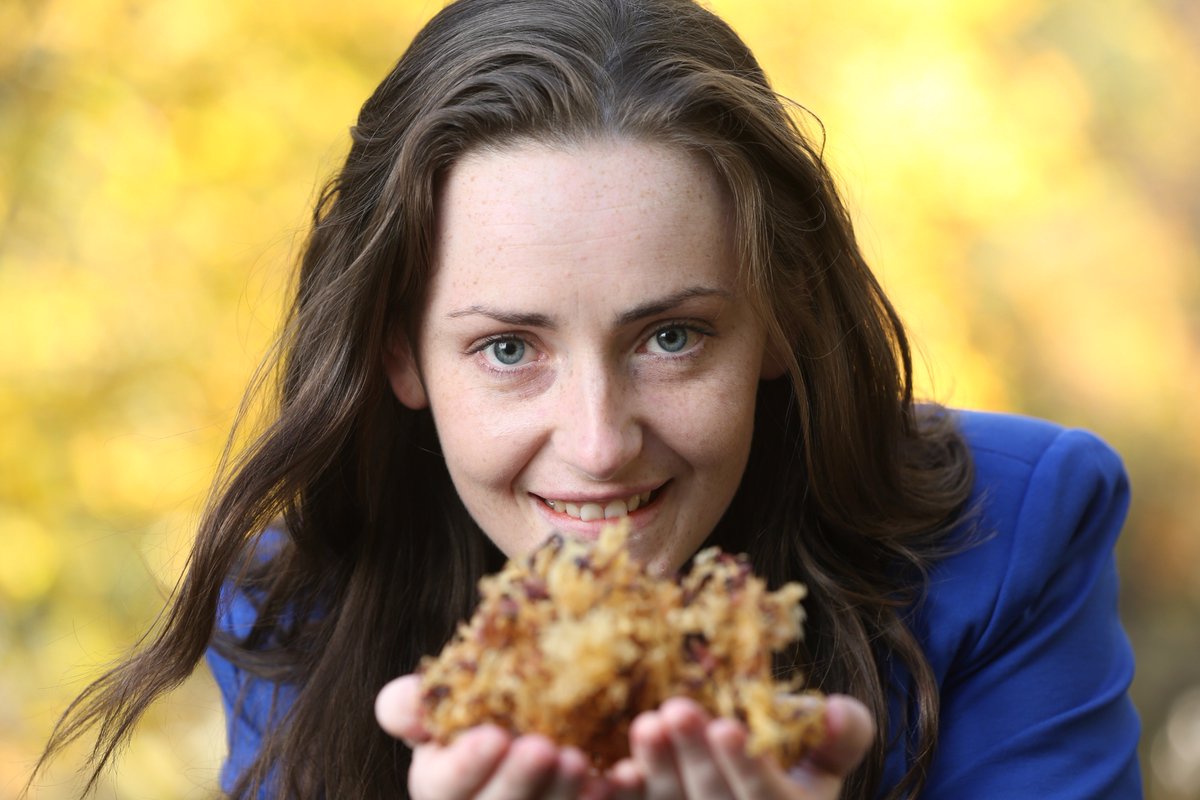 Government of Ireland Postgraduate Scholarship Programme 2019