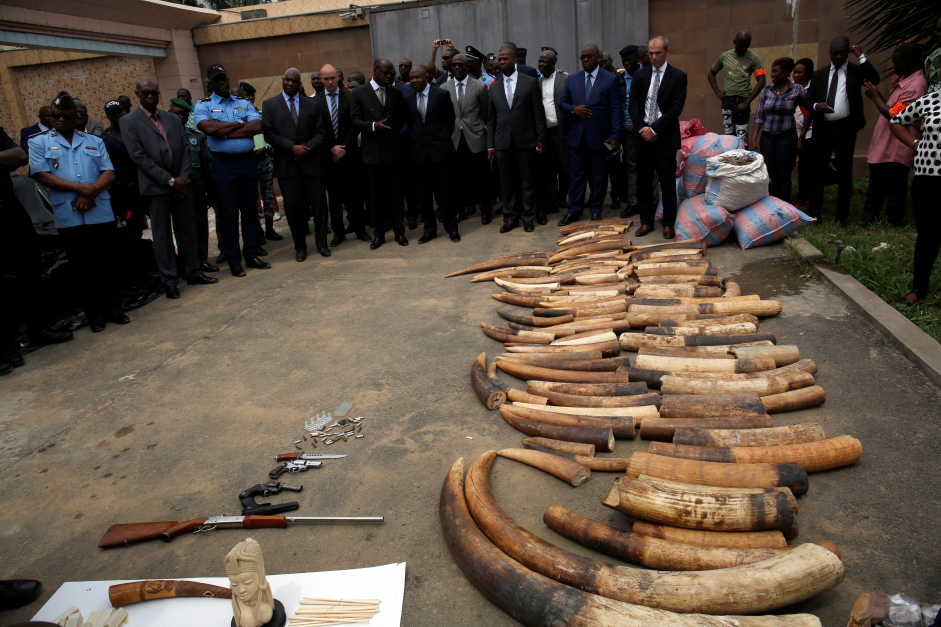 Thomson Reuters Foundation Reporting the Illegal Internet Trade in Wildlife 2018 for journalists from Africa and Asia (Fully-funded to Thailand)