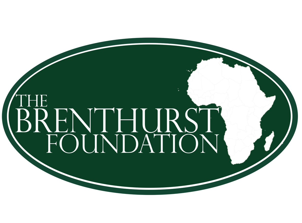 Machel-Mandela Fellowship Programme 2019 for Young African Graduates (Fully-funded to Johannesburg)