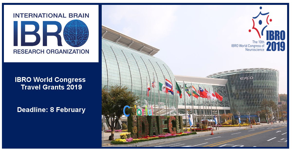 IBRO World Congress Travel Grants Program 2019 (Up to €2,000 Euros)