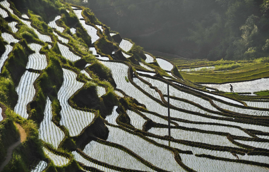 Thomson Reuters Foundation Reporting Rural Poverty and Agricultural Development 2019 (Fully-funded to Rome, Italy)
