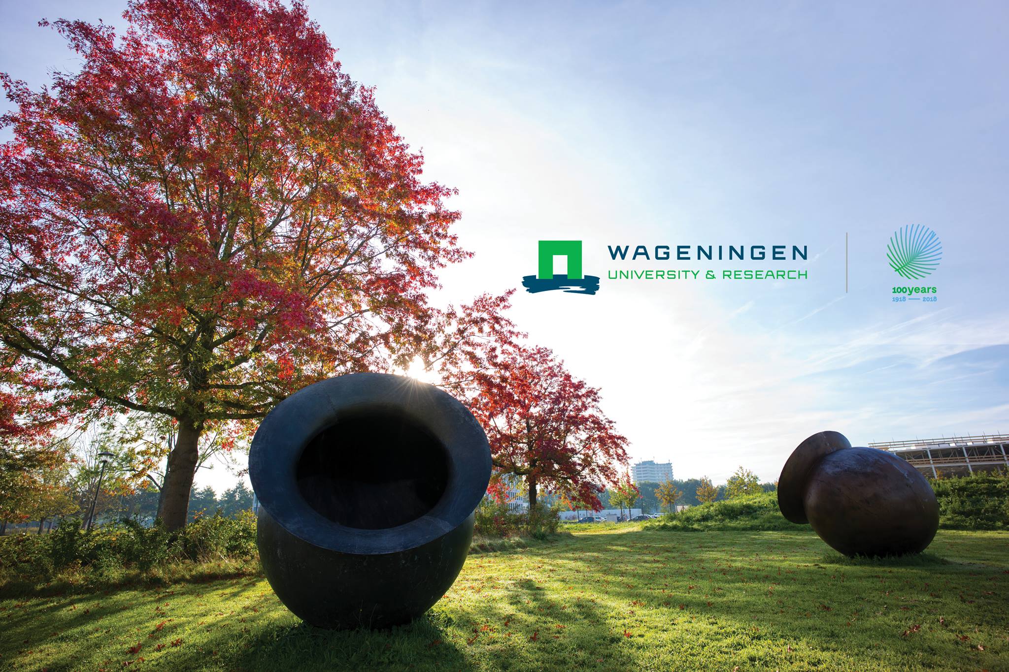 Wageningen University & Research Africa Scholarship Program 2019