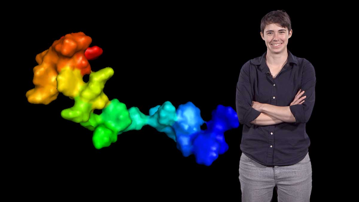 iBiology Young Scientist Seminars Competition 2019 (Fully-funded to San Francisco)