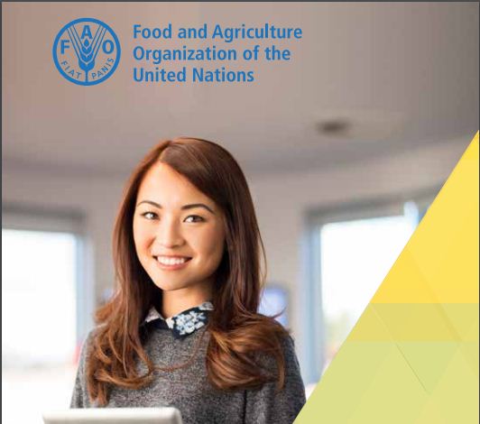 Food and Agriculture Organization of the United Nations (UN FAO) Internship Program 2019