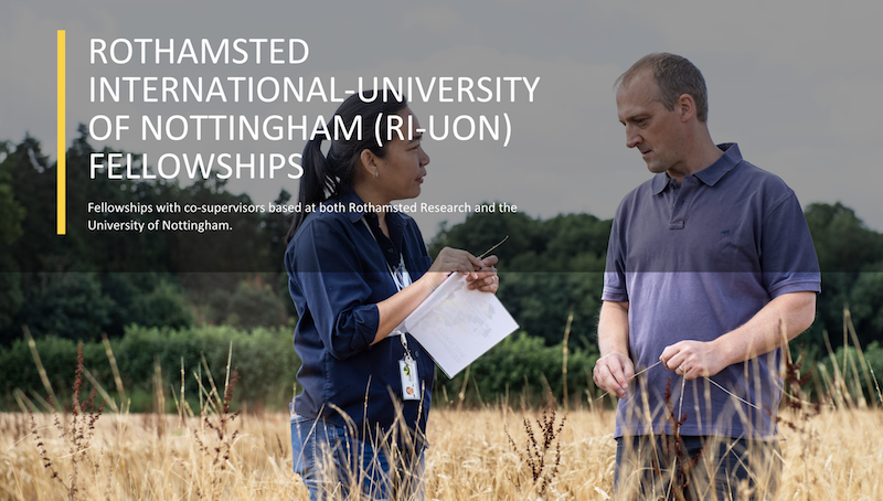 Rothamsted International – University of Nottingham Fellowship 2019 (Fully-funded to the UK)
