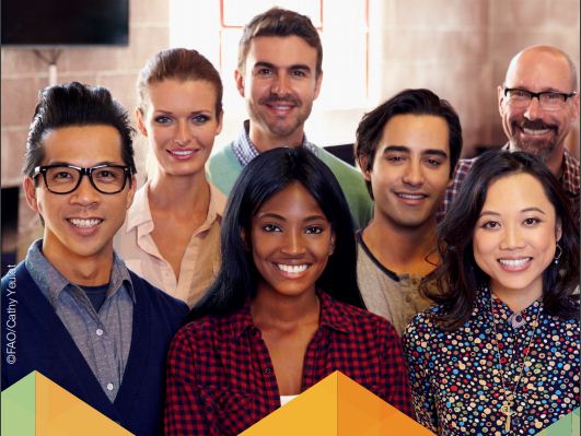 Food and Agriculture Organization of the United Nations (UN FAO) Regular Volunteer Programme 2019