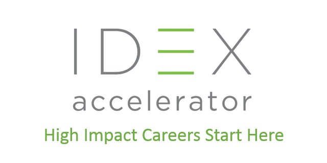 IDEX Global Fellows Program 2019 for Social Entrepreneurs (Scholarship Available)