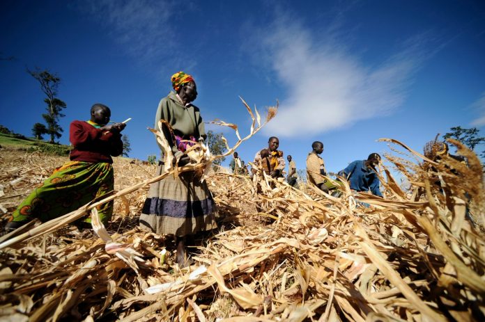 World Food Programme/Cargill Global Innovation Challenge for Zero Hunger 2019